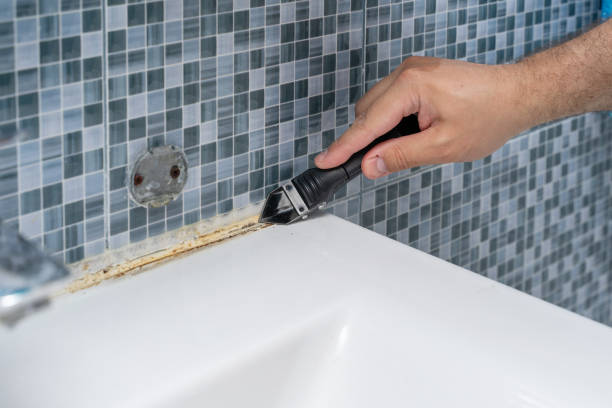 Best Mold Testing  in Sulligent, AL