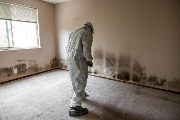 Best Residential Mold Removal  in Sulligent, AL